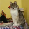 Отзыв от Галя Сидорова